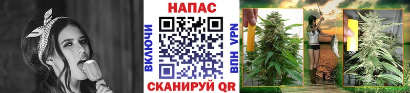 где найти   Свободный  Каннабис AK-47 